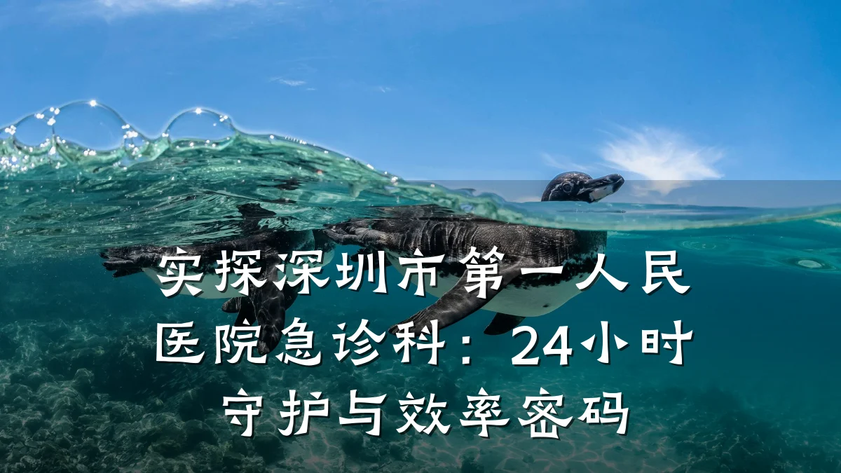实探深圳市第一人民医院急诊科:24小时守护与效率密码
