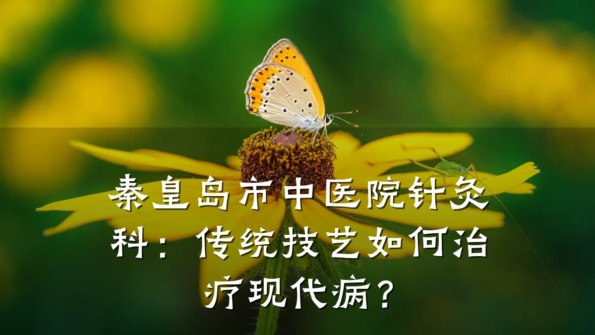 秦皇岛市中医院针灸科：传统技艺如何治疗现代病？