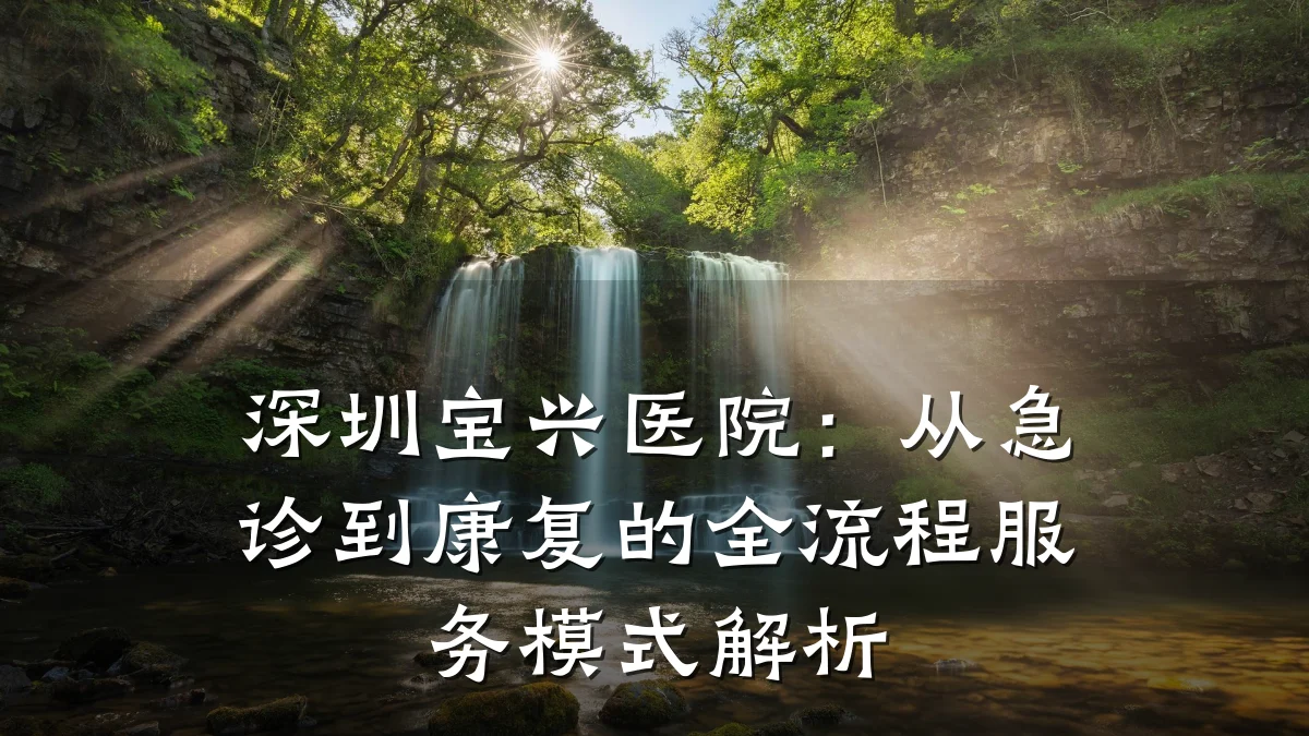 深圳宝兴医院：从急诊到康复的全流程服务模式解析