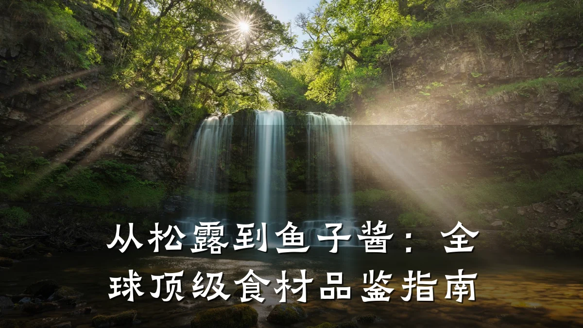 从松露到鱼子酱:全球顶级食材品鉴指南