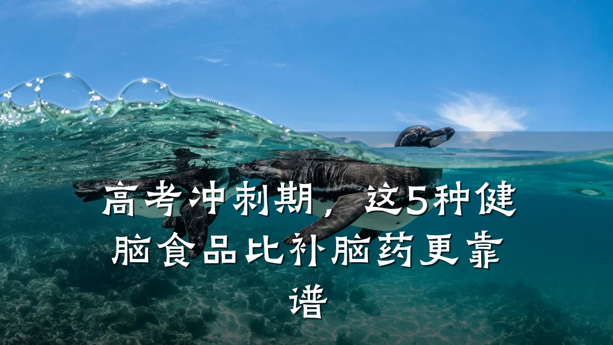 高考冲刺期,这5种健脑食品比补脑药更靠谱