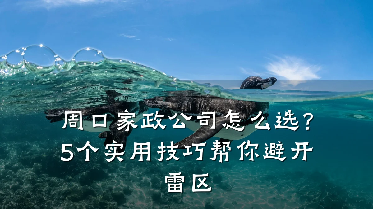周口家政公司怎么选?5个实用技巧帮你避开雷区