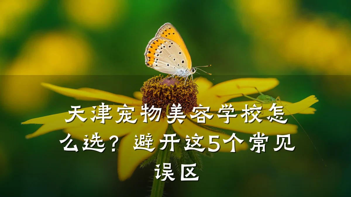 天津宠物美容学校怎么选?避开这5个常见误区