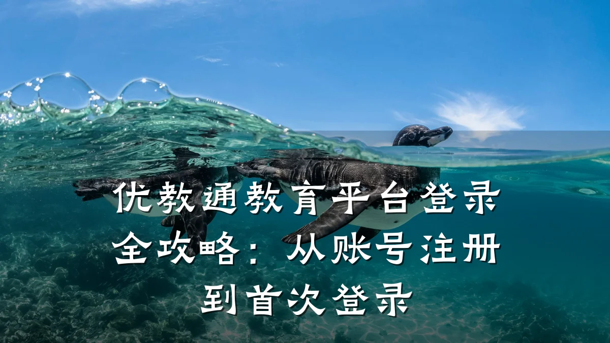 优教通教育平台登录全攻略：从账号注册到首次登录
