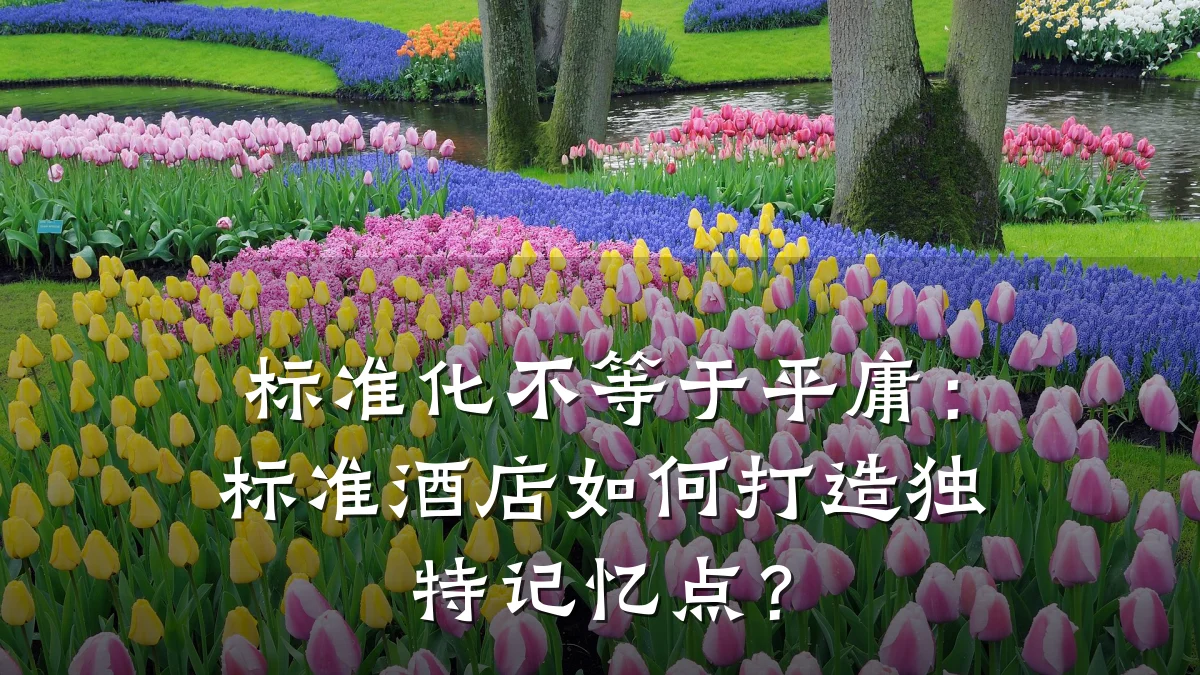 标准化不等于平庸:标准酒店如何打造独特记忆点?