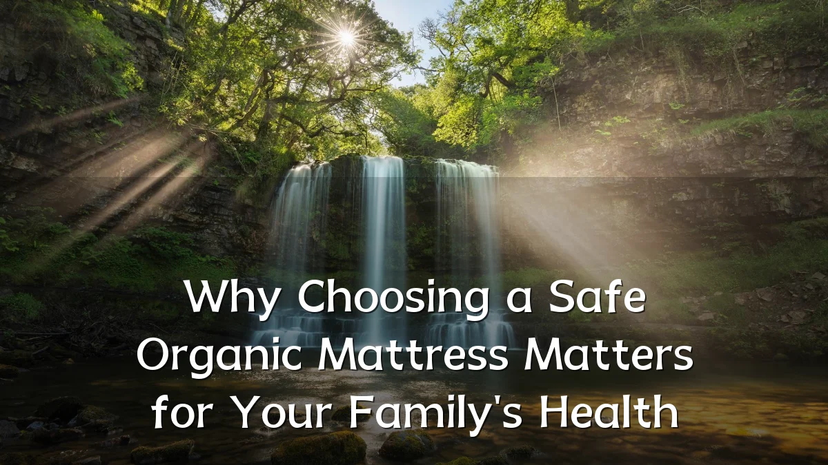 Why Choosing a Safe Organic Mattress Matters for Your Family's Health