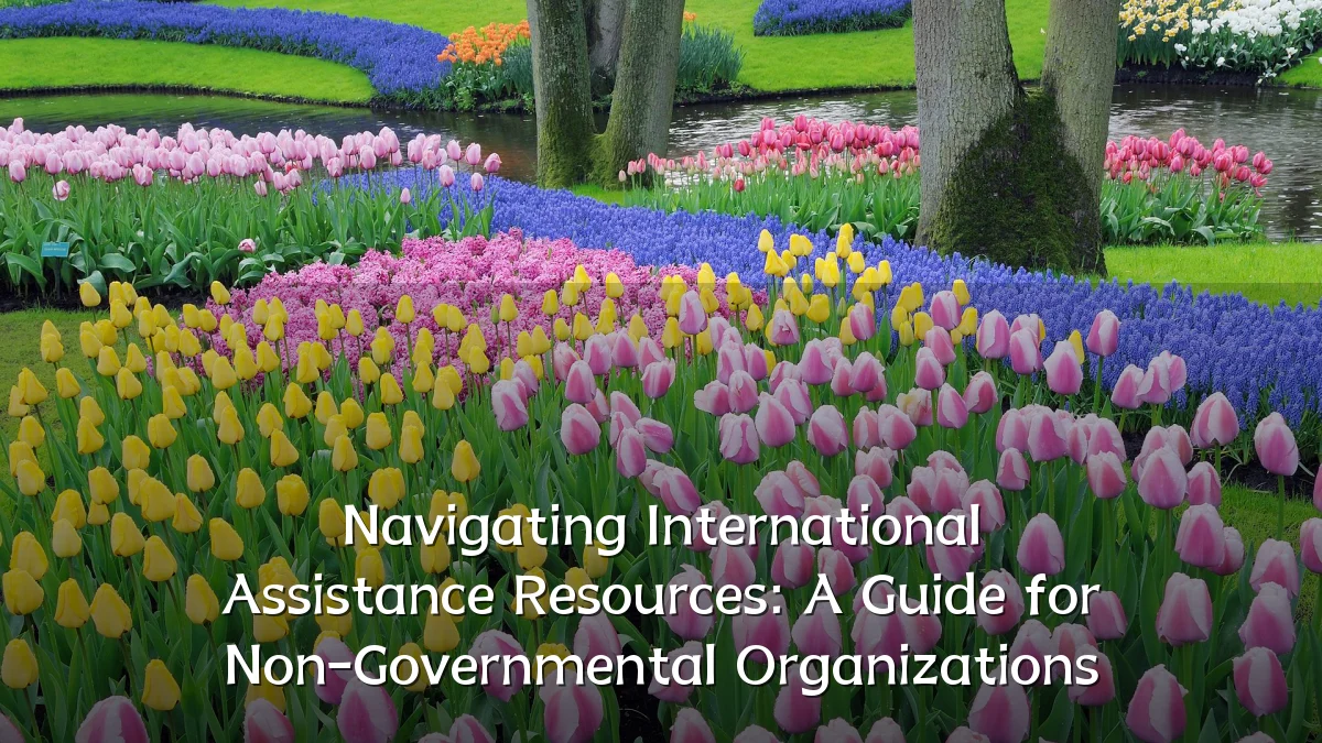 Navigating International Assistance Resources: A Guide for Non-Governmental Organizations