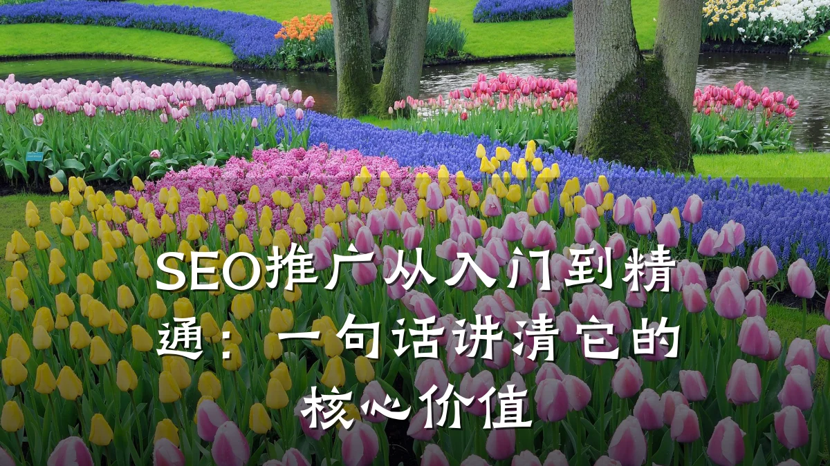 SEO推广从入门到精通：一句话讲清它的核心价值