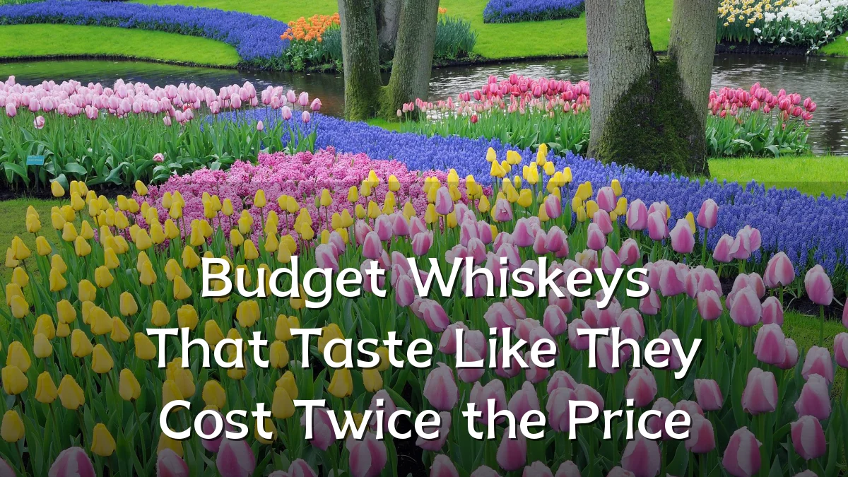 Budget Whiskeys That Taste Like They Cost Twice the Price