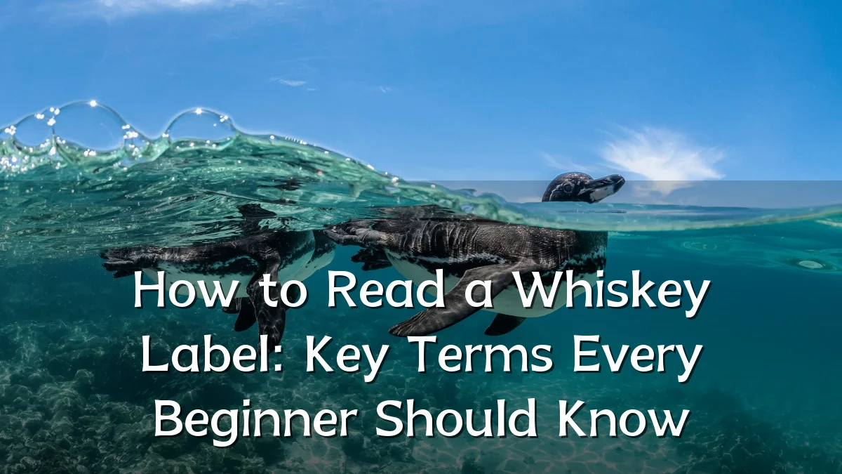 How to Read a Whiskey Label: Key Terms Every Beginner Should Know