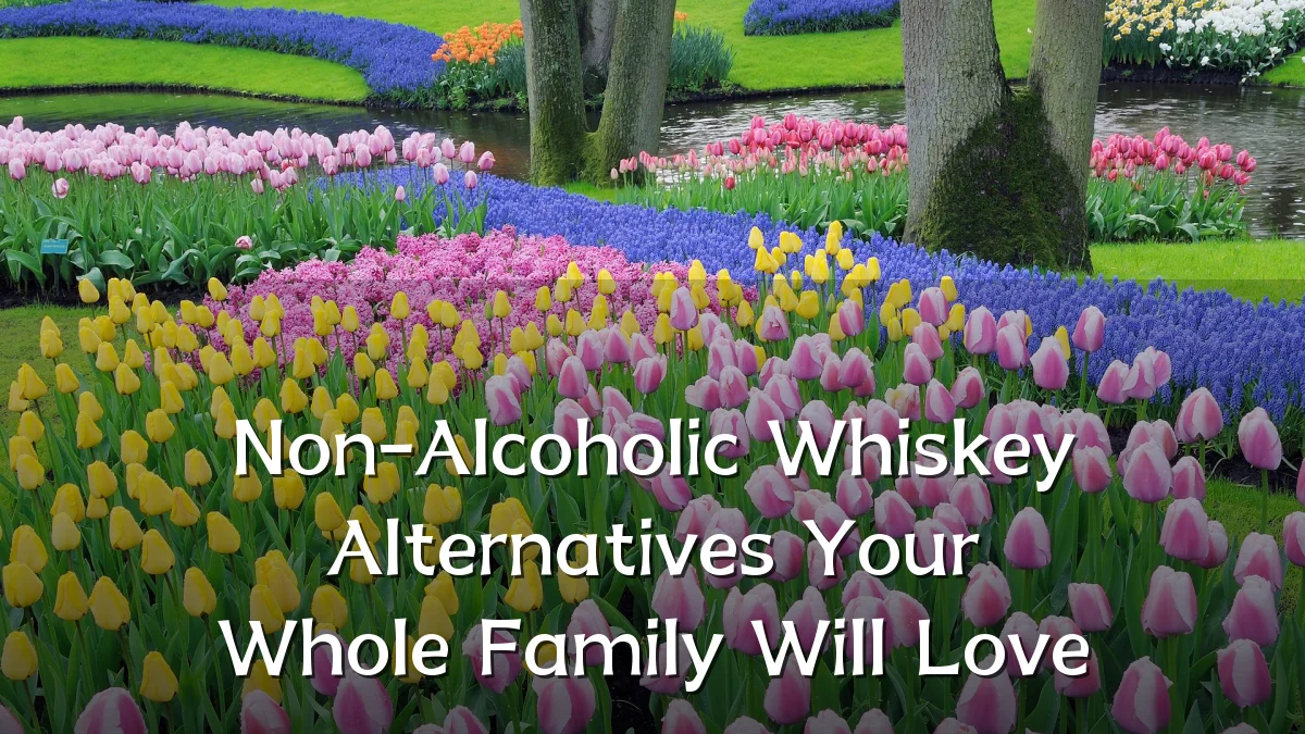 Non-Alcoholic Whiskey Alternatives Your Whole Family Will Love