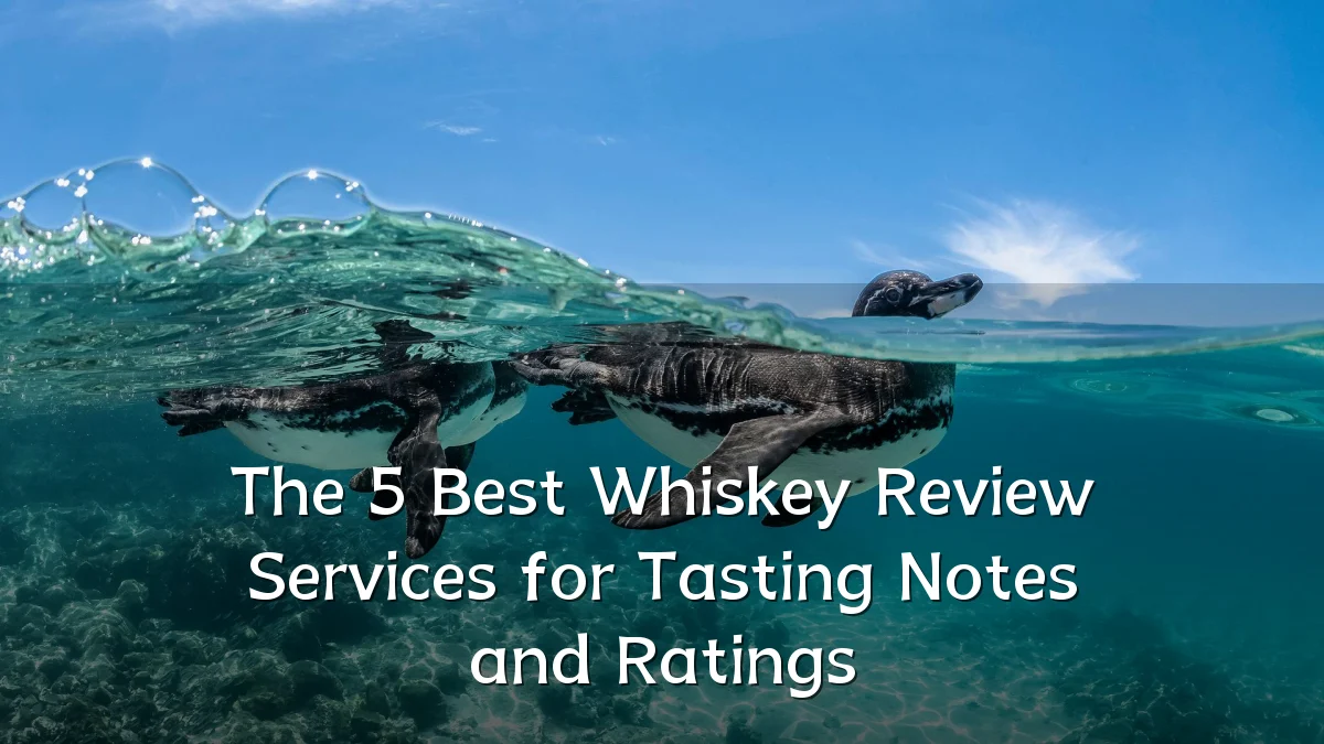 The 5 Best Whiskey Review Services for Tasting Notes and Ratings