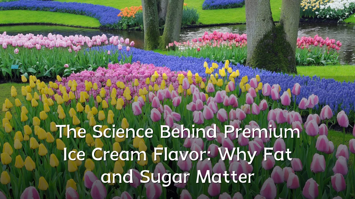The Science Behind Premium Ice Cream Flavor: Why Fat and Sugar Matter