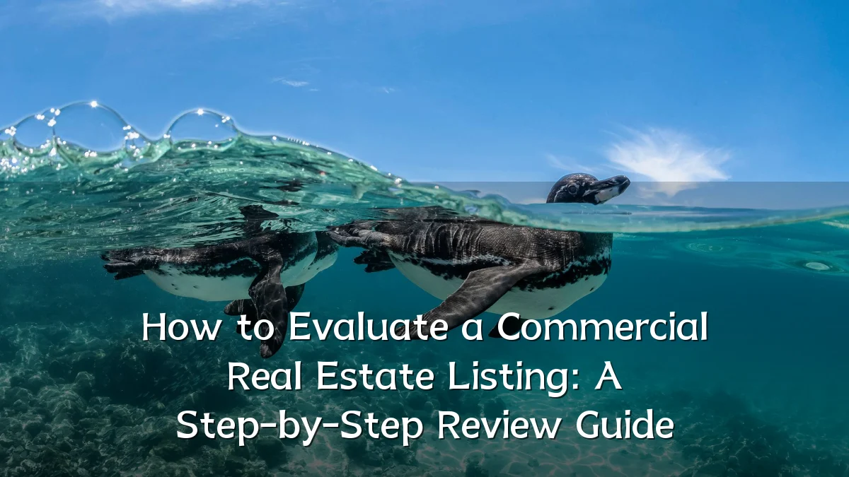 How to Evaluate a Commercial Real Estate Listing: A Step-by-Step Review Guide