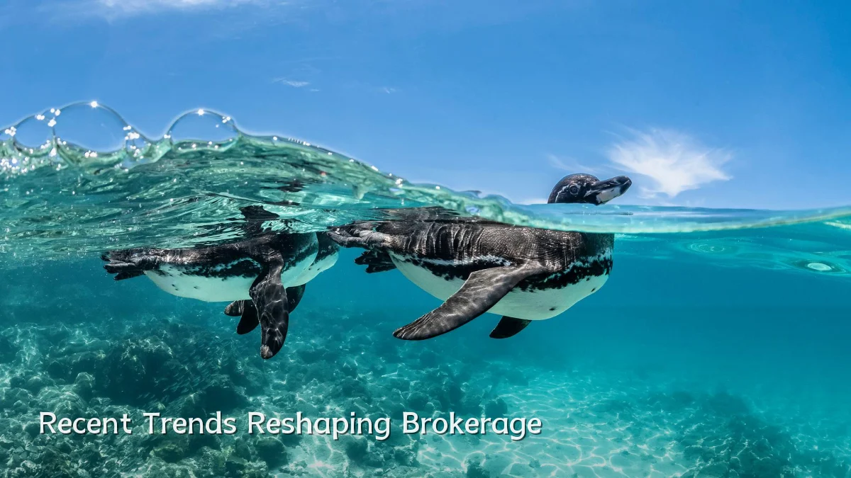 Recent Trends Reshaping Brokerage