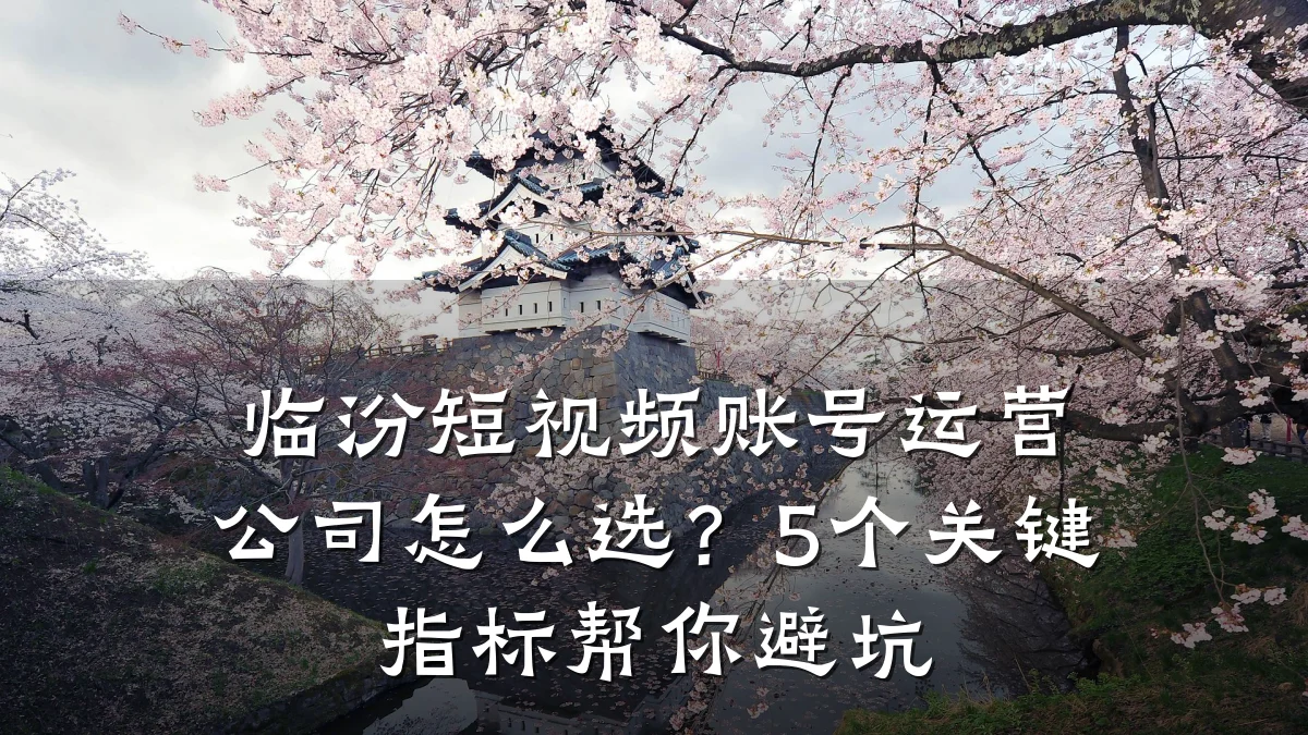 临汾短视频账号运营公司怎么选？5个关键指标帮你避坑
