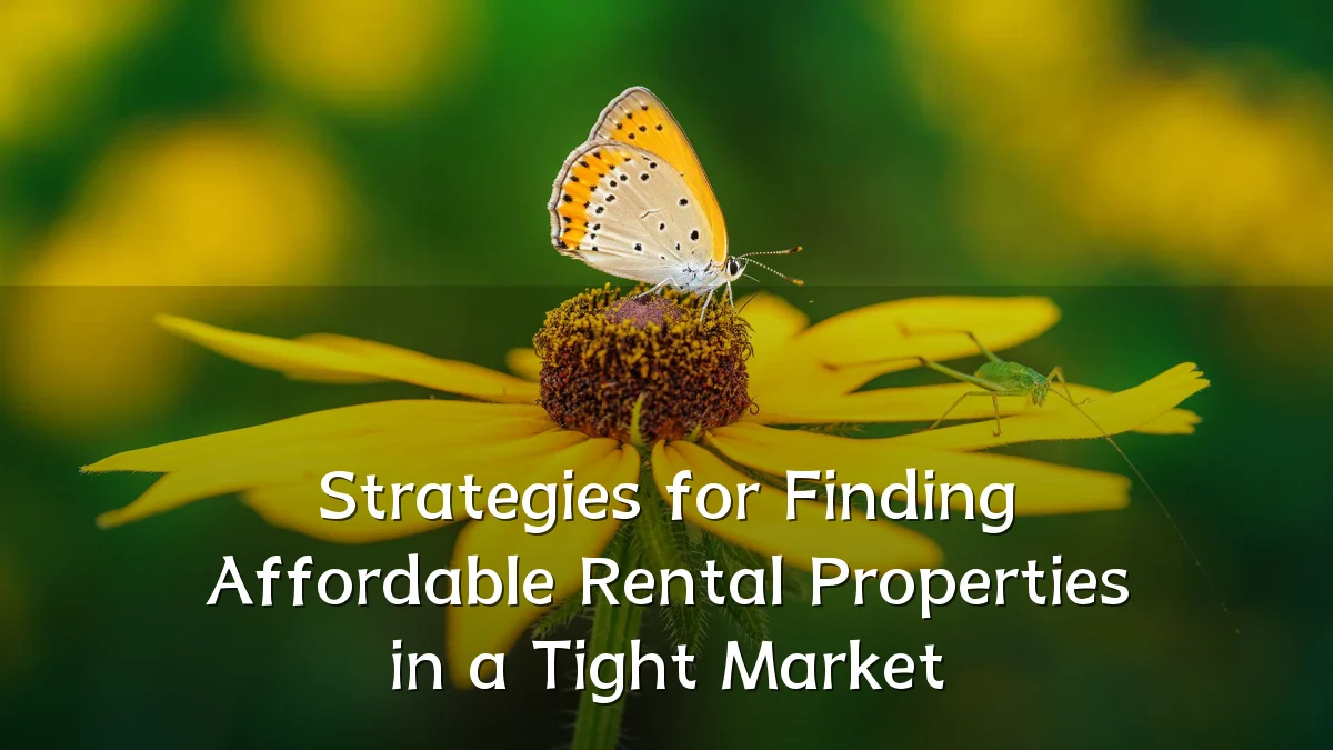 Strategies for Finding Affordable Rental Properties in a Tight Market
