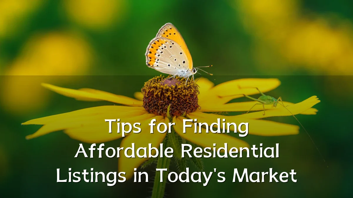 Tips for Finding Affordable Residential Listings in Today's Market