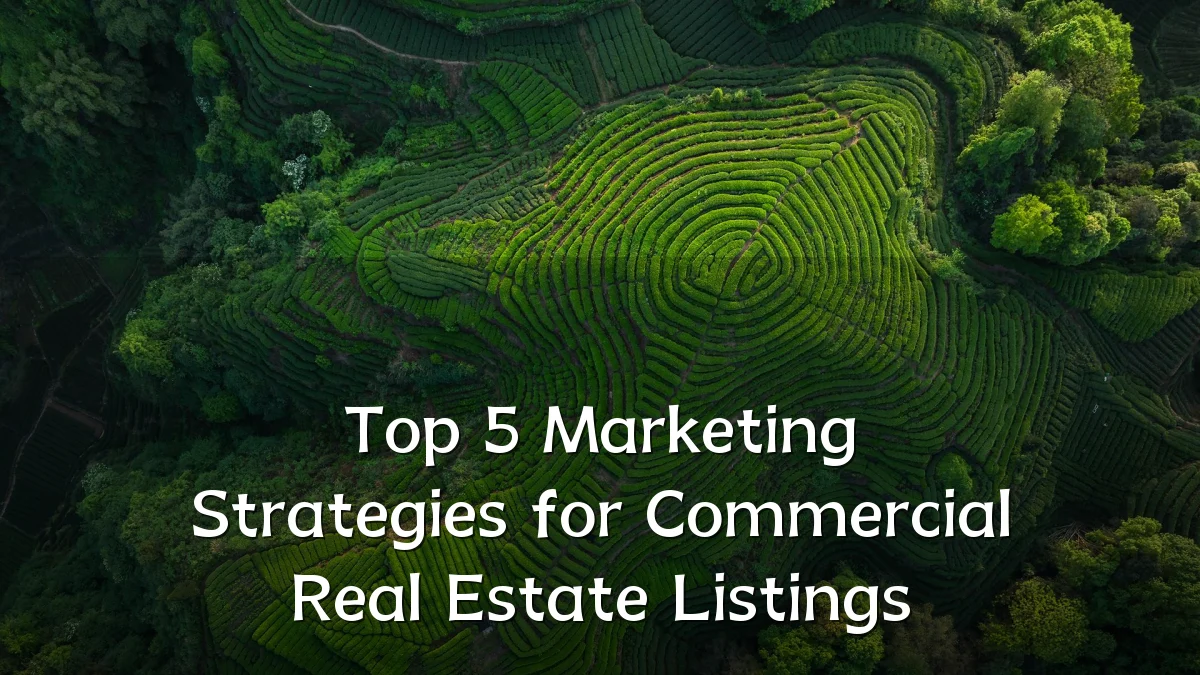 Top 5 Marketing Strategies for Commercial Real Estate Listings