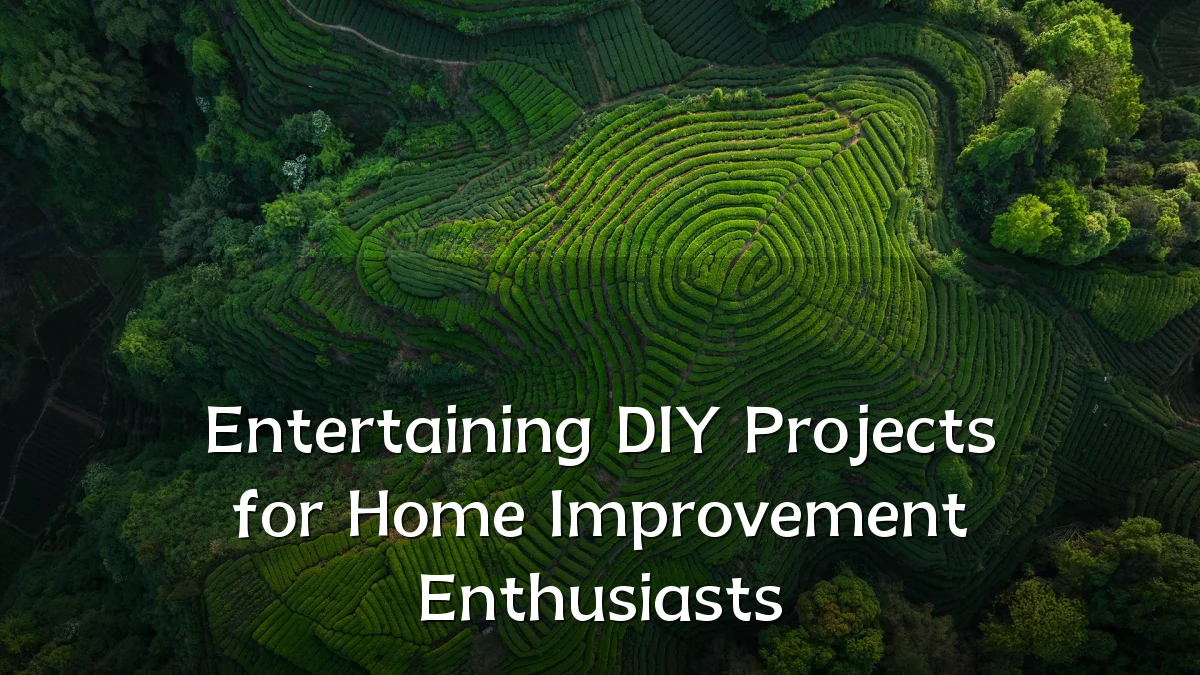 Entertaining DIY Projects for Home Improvement Enthusiasts