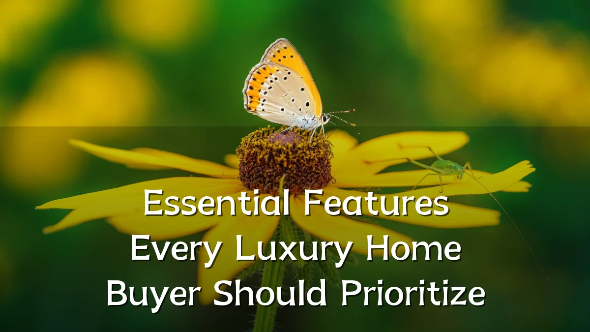 Essential Features Every Luxury Home Buyer Should Prioritize