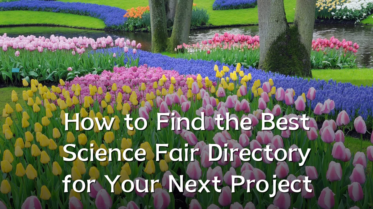 How to Find the Best Science Fair Directory for Your Next Project