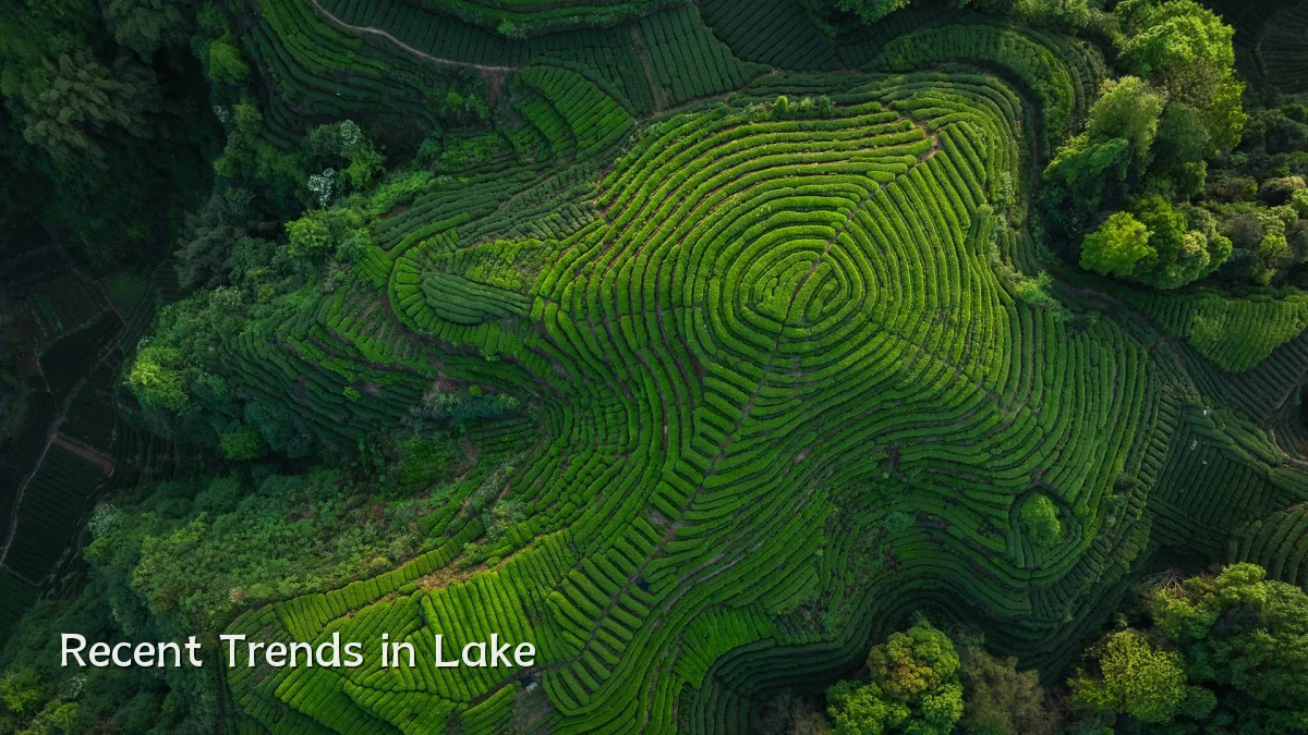 Recent Trends in Lake