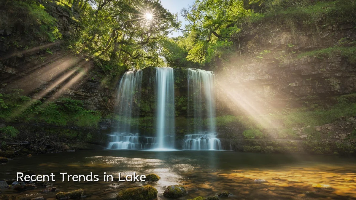Recent Trends in Lake