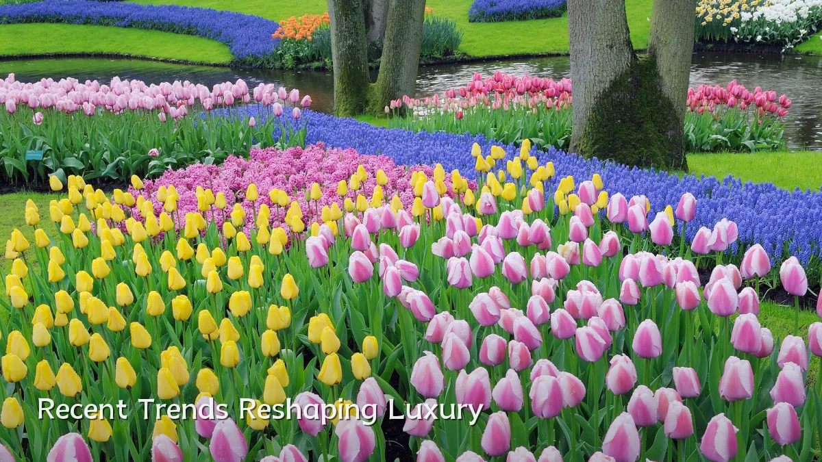 Recent Trends Reshaping Luxury