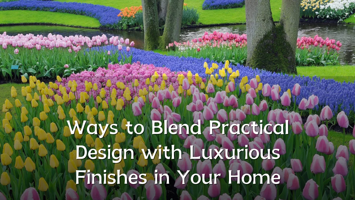 Ways to Blend Practical Design with Luxurious Finishes in Your Home