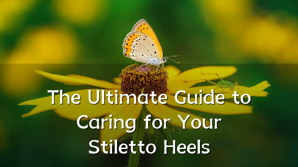 The Ultimate Guide to Caring for Your Stiletto Heels