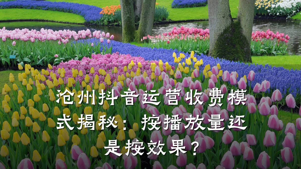 沧州抖音运营收费模式揭秘:按播放量还是按效果?