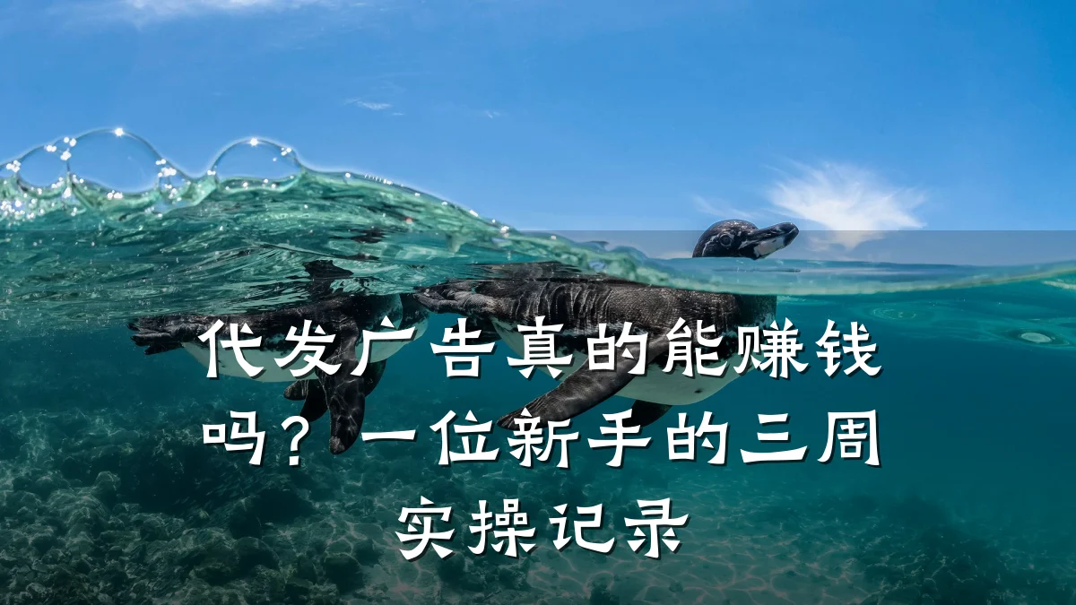 代发广告真的能赚钱吗?一位新手的三周实操记录