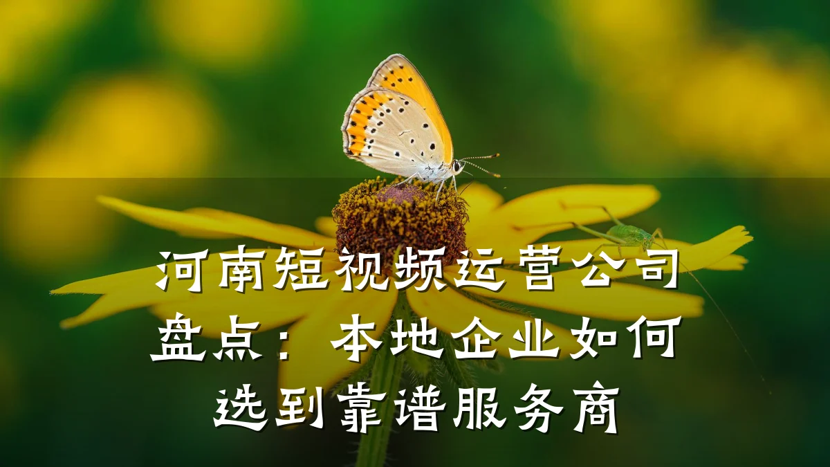 河南短视频运营公司盘点:本地企业如何选到靠谱服务商
