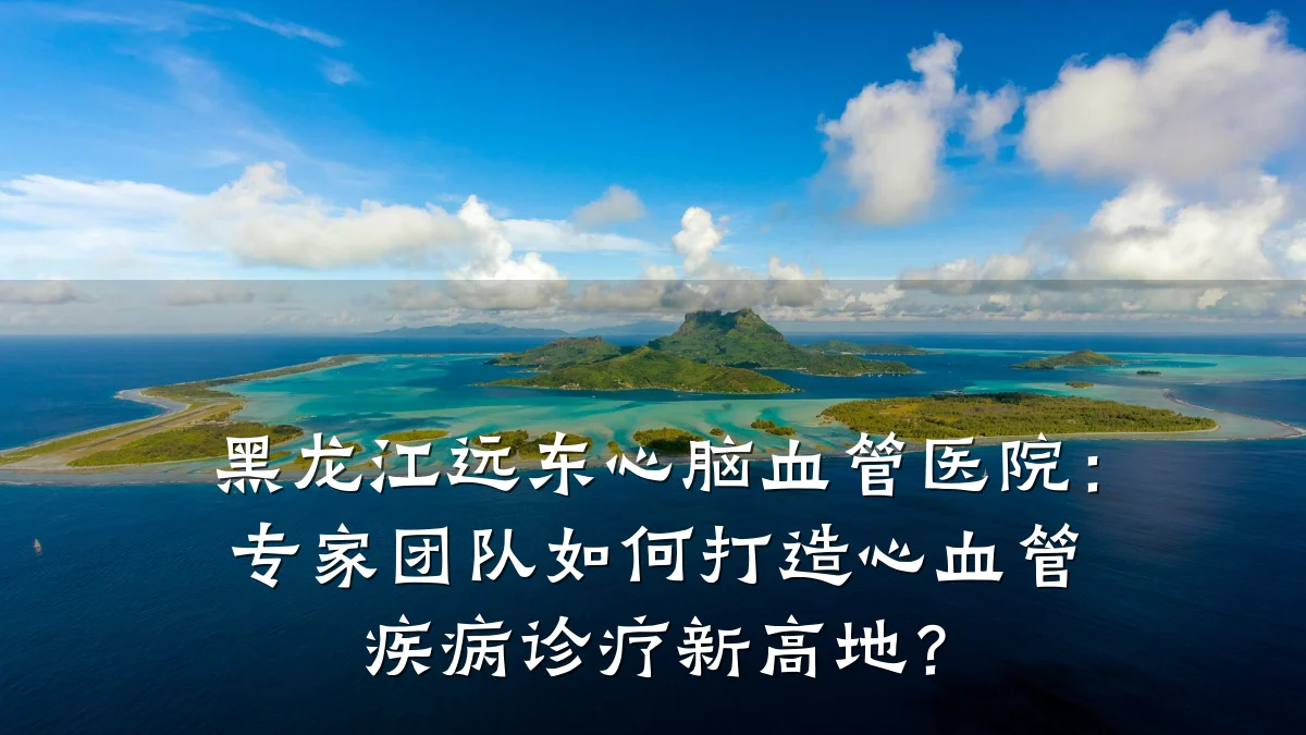黑龙江远东心脑血管医院:专家团队如何打造心血管疾病诊疗新高地?