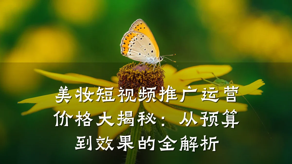 美妆短视频推广运营价格大揭秘:从预算到效果的全解析