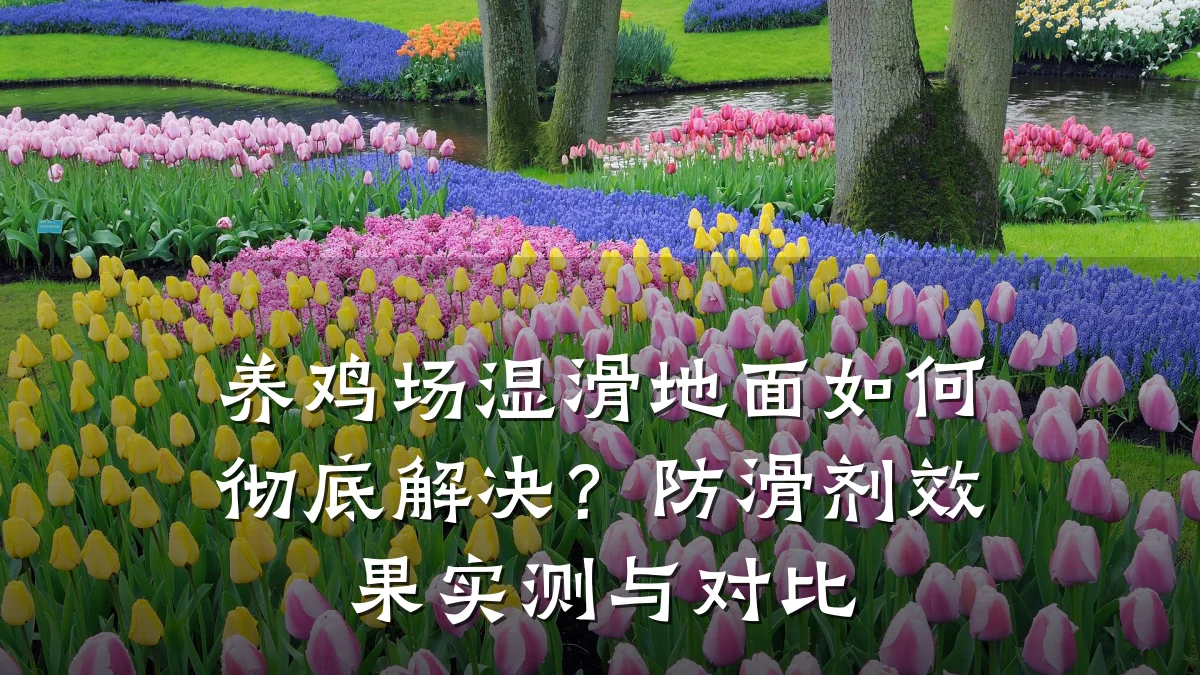 养鸡场湿滑地面如何彻底解决？防滑剂效果实测与对比