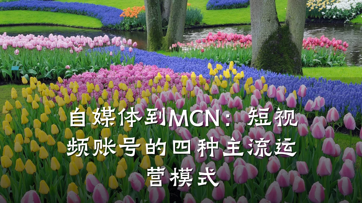 自媒体到MCN:短视频账号的四种主流运营模式