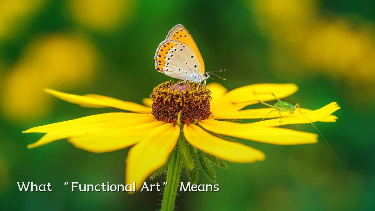 What “Functional Art” Means